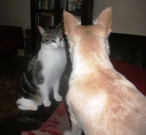 Gillian's Oleo and Betsy