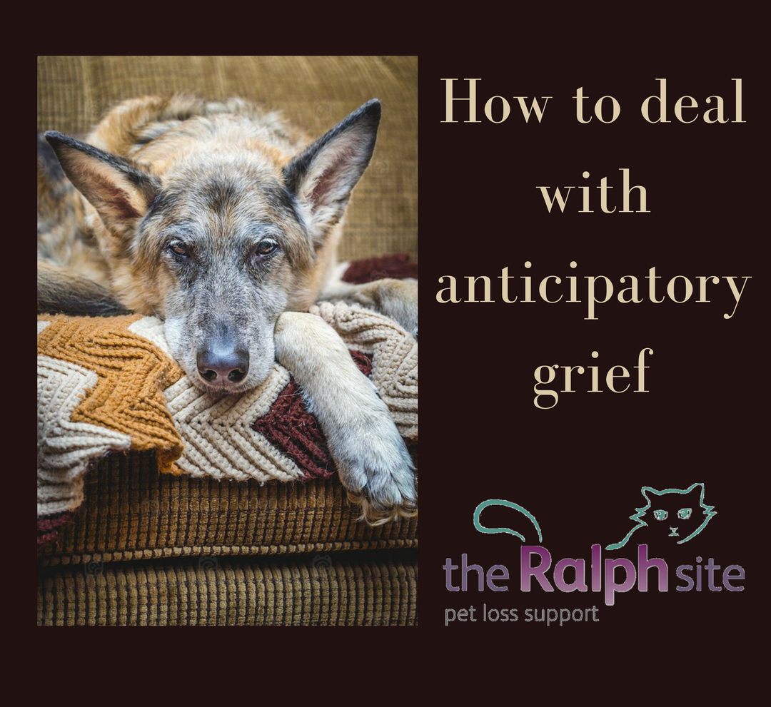 How%20to%20deal%20with%20anticipatory%20grief%20square%20with%20logo